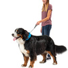 Nite Ize - Нашийник для собак RadDog™ All-In-One з повідцем - XL - червоний - RRLXL-10-R3