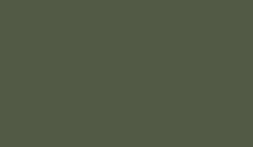 FOSCO - Камуфляжна фарба - Nato Green