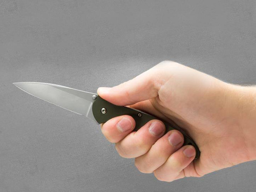 Складаний ніж Kershaw - Цибуля-порей - 1660OL