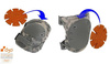 ALTA - Наколінники тактичні ShockGuard™ D3o - чорний - 52413.00