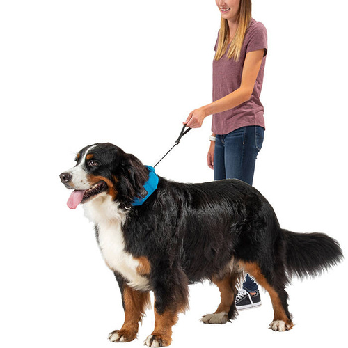 Nite Ize - Нашийник для собак RadDog™ All-In-One з повідцем - XL - червоний - RRLXL-10-R3