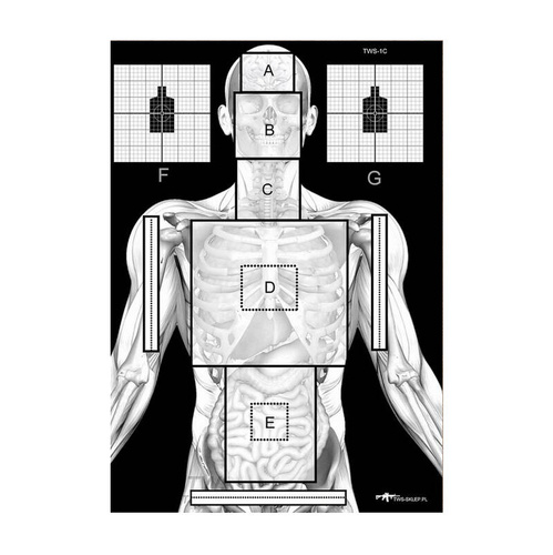 Тактична система озброєння - Silhouette Shield TWS 1C