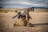 Helikon - Сумка тактична Ammo Bucket® - Cordura® - чорний - TB-ABK-CD-01