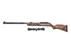 Пневматична гвинтівка Gamo - Maxxim IGT з оптичним прицілом 4 x 32 - 4,5 мм - 6110056- MIGT16J