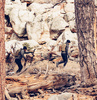 Helikon - Тактична сумка Foxhole - Coyote - TB-FOH-NL-11