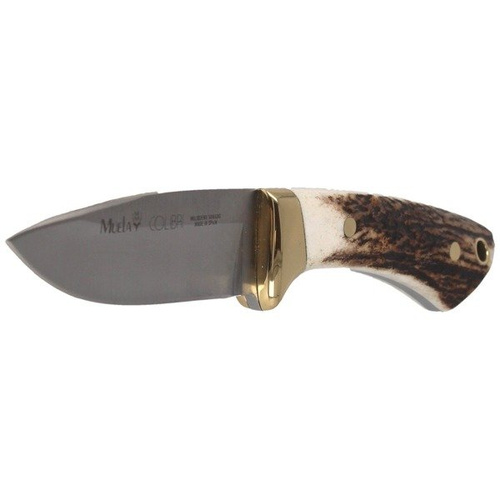 Muela - Nóż Colibri Full Tang Deer Stag 70mm - COL-7A
