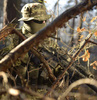 Helikon - Тактична толстовка CPU® - Kryptek Highlander - BL-CPU-NR-72