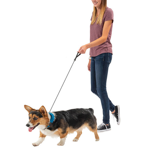 Nite Ize - Нашийник для собак RadDog™ All-In-One з повідцем - S - червоний - RRLS-10-R3