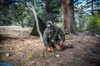 Helikon - Футболка Woodsman - Taiga Green / Coyote - KO-WDN-DC-1109A