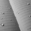 Rite in the Rain - Водонепроникний блокнот Large Bound Book - 223 x 175 мм - 80 аркушів - чорний - 770F-LG