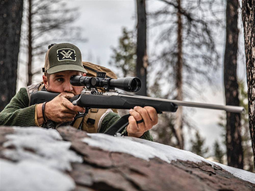 Vortex Optics - Приціл Razor LHT 3-15x50 - 30мм - APO - G4i BDC - RZR-31503