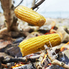 Light My Fire - Шампури для багаття Grandpa's FireFork BIO 2-pack - MustyYellow / HazyBlue - 2302011413