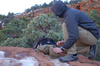 Helikon - Куртка-вітровка Windrunner - Alpha Green - KU-WDR-NL-36