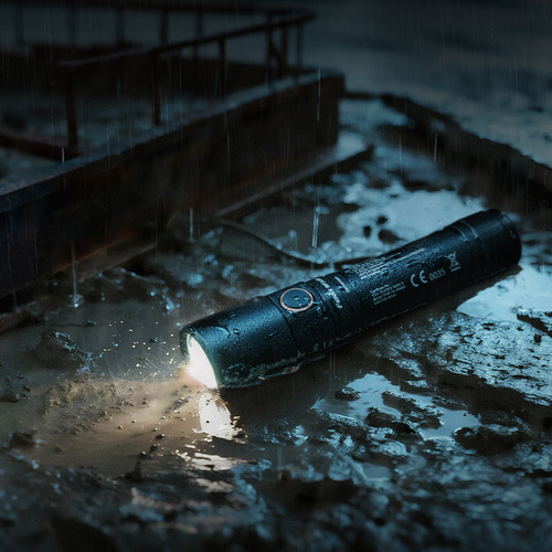 Fenix - Тактичний ліхтар світлодіодний WF30RE (2025) - 300 лм - чорний - WF30RE (2025)