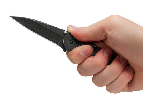 Складаний ніж Kershaw - Leek - 1660BLK