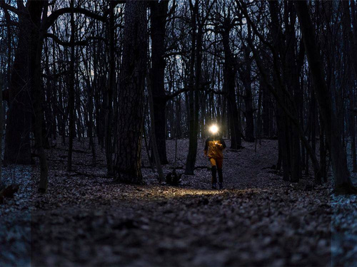 Fenix - Світлодіодний налобний ліхтар - 240 люмен - AA - Чорний - HM23