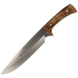 Muela - Nóż Full Tang Olive дерево 210мм - JABALI-21OL