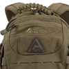 Direct Action - Тактичний рюкзак Dragon Egg MkII® - 25 літрів - Adaptive Green / Coyote - BP-DEGG-CD5-AGC