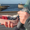 Light My Fire - Ложка-виделка Spork Essentials Original Titanium - Titanium - 4212401110