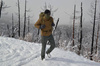 Helikon - Легка куртка Wolfhound - Climashield® Apex™ - PenCott WildWood - KU-WLF-NL-45