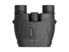 Leupold - Бінокль BX-1 Rogue - 8x25 - 59220