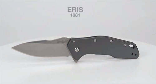 Складаний ніж Kershaw - Eris - сірий - 1881