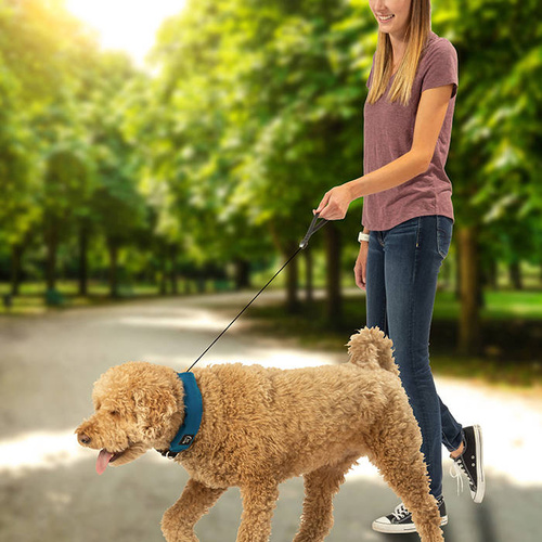 Nite Ize - Нашийник для собак RadDog™ All-In-One з повідцем - M - червоний - RRLM-10-R3