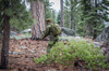 Direct Action - Тактичний рюкзак Ghost MkII® - Cordura® - Crye™ MultiCam® - BP-GHST-CD5-MCM