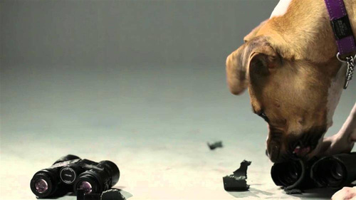 Vortex Optics - Тактичний бінокль Razor UHD 8x42 - RZB-3101